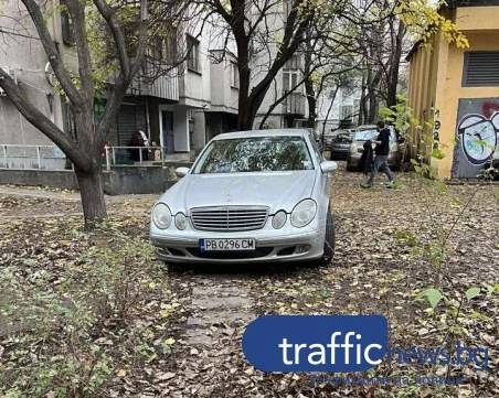 Мерцедес „цъфна