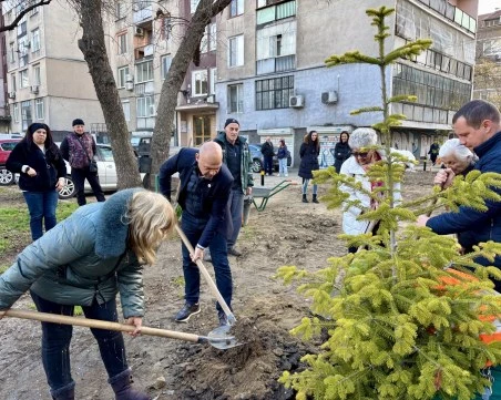 Общината засади 1000 дръвчета на ключови локации в Пловдив