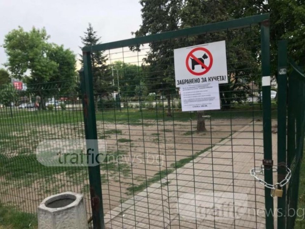 Брожение сред пловдивчани срещу новата наредба за домашните любимци, която Общината предлага