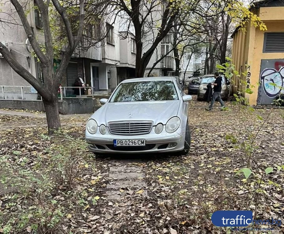 Мерцедес „цъфна