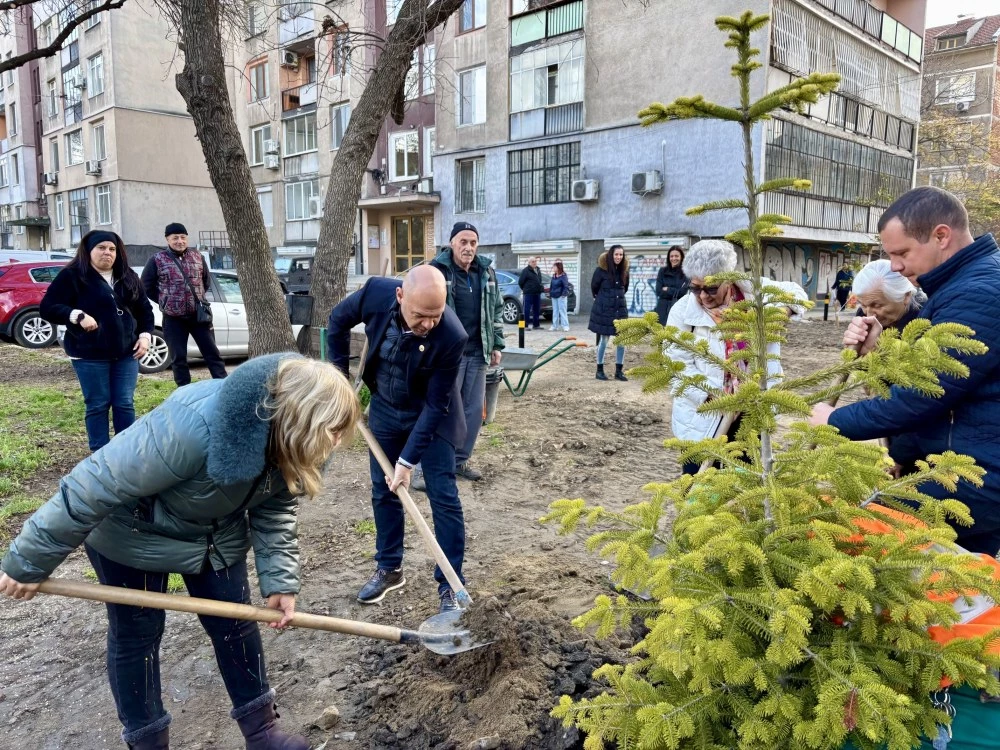 Общината засади 1000 дръвчета на ключови локации в Пловдив