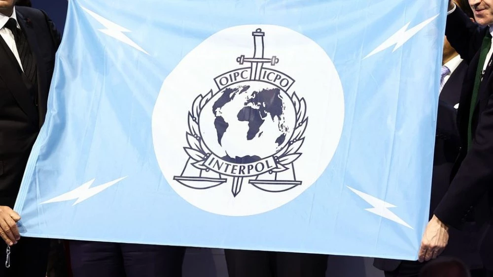 Французин е новият председател на Интерпол
