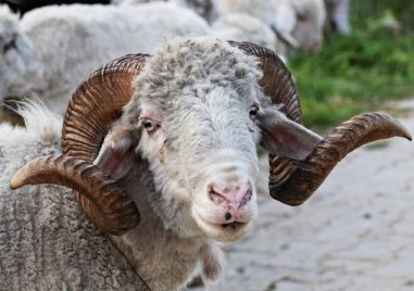 Дебютира нова модна колекция от вълна от...гей кочове”