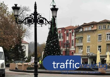 Пловдив се потапя в коледен дух: Сглобяват голямата елха пред Общината
