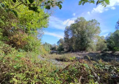 Валежите предизвикаха нова тревога в Пловдивско – настояват Тахов да поеме инициатива за почистването на Стряма