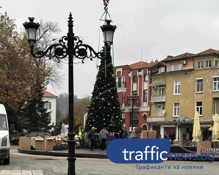 Пловдив се потапя в коледен дух: Сглобяват голямата елха пред Общината