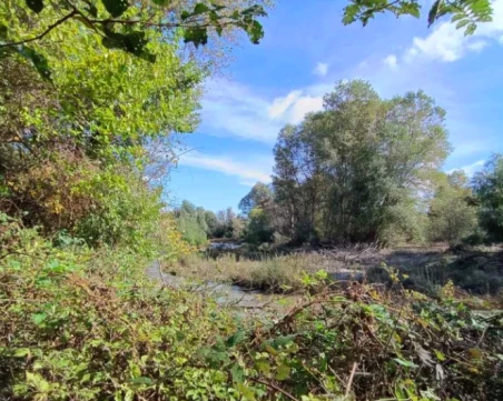 Валежите предизвикаха нова тревога в Пловдивско – настояват Тахов да поеме инициатива за пористването на Стряма