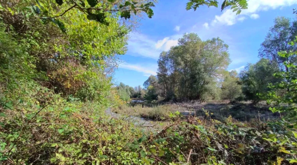 Валежите предизвикаха нова тревога в Пловдивско – настояват Тахов да поеме инициатива за почистването на Стряма