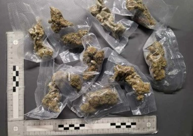 Задържаха 13 души при спецакция срещу наркоразпространението в София