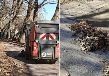 Машини събират листата по булевардите на Пловдив, но защо резултатът е неефективен?