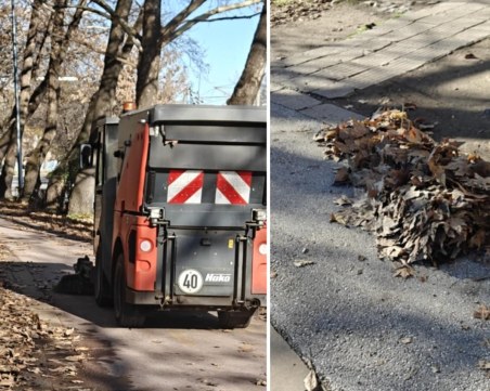Машини събират листата по булевардите на Пловдив, но защо резултатът е неефективен?