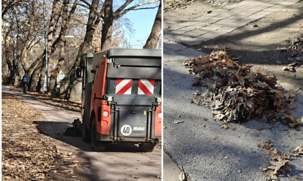 Машини събират листата по булевардите на Пловдив, но защо резултатът е неефективен?