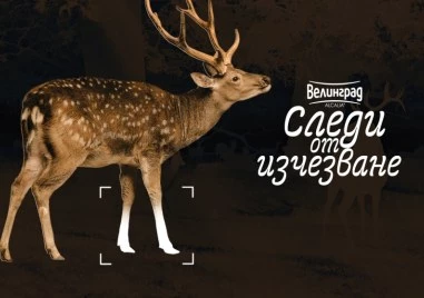 Пловдив посреща пътуващата изложба „Следи от изчезване