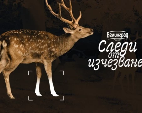 Пловдив посреща пътуващата изложба „Следи от изчезване