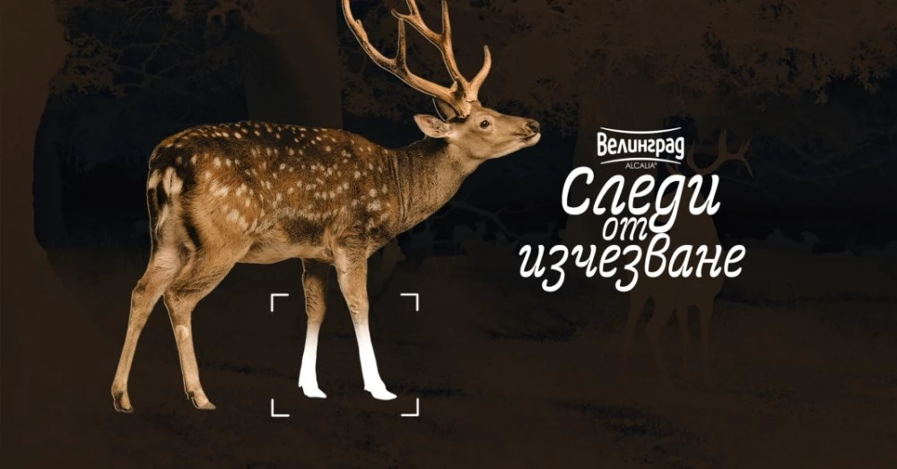 Пловдив посреща пътуващата изложба „Следи от изчезване