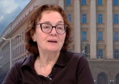 Проф. Румяна Коларова: На Мирчев му се иска да се превърне в герой на народа, но това е поредната грозна сцена