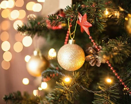 Коледната елха в район 