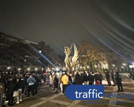 Стотина на протест срещу еврото