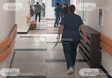 Нетипично за сезона: Коксаки вирус и стомашни инфекции върлуват в Пловдив