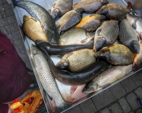 Масирани проверки дни преди Никулден