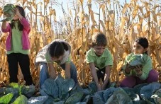 Как практическото учене помага на децата да разберат пътя на храната?