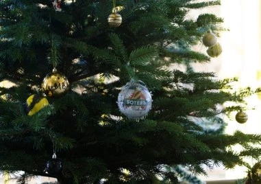 Ботев Пловдив ще организира детска коледа за най малките си