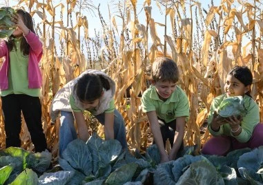 На 5 декември отбелязахме Световния ден на почвите повод който