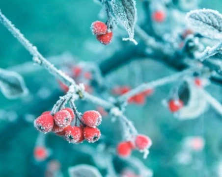 Експерти обсъждат дали настъпва зимата на века