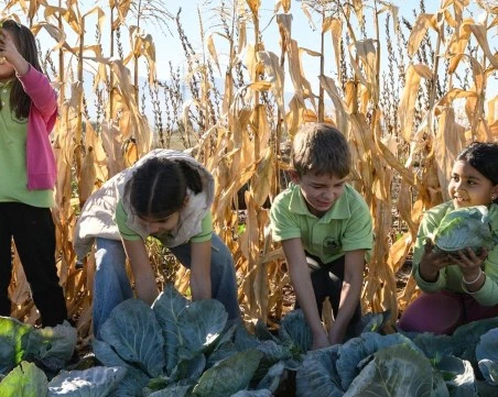 Как практическото учене помага на децата да разберат пътя на храната?
