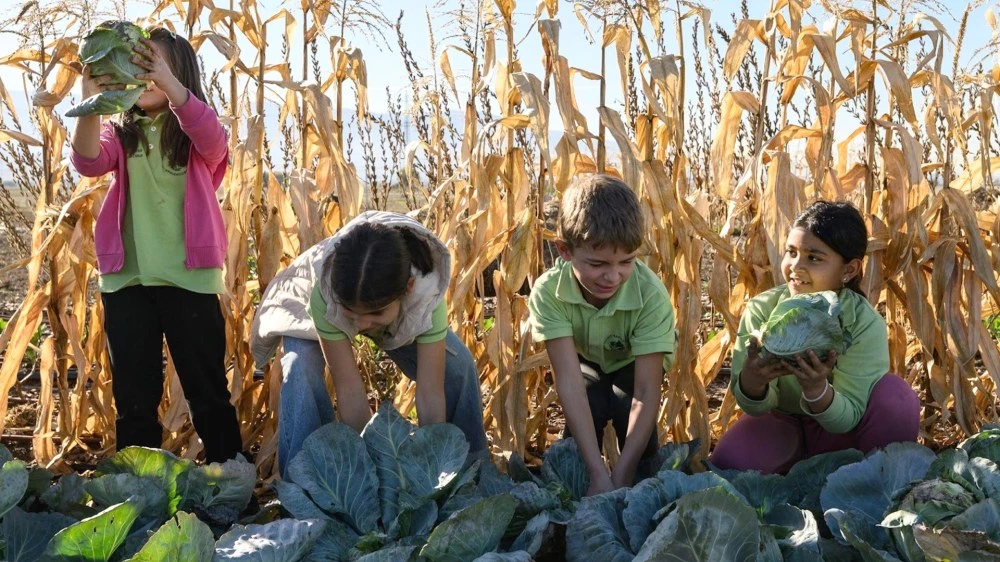 Как практическото учене помага на децата да разберат пътя на храната?