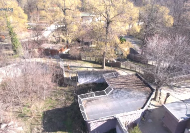 Общинските съветници ще вземат решение с което да се от