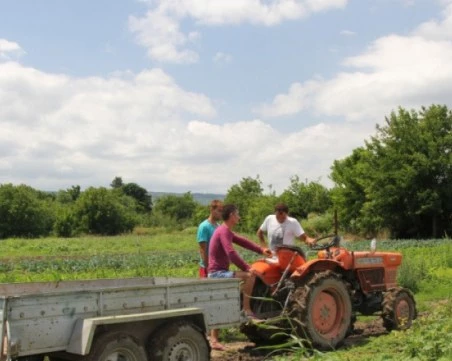 Изплатиха над 40 млн. лв. предсрочно на стопаните по агроекологичните мерки