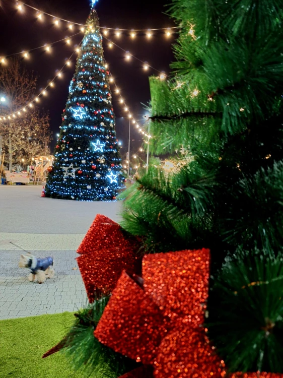 „Коледа в Западен