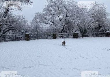 Съвсем няма да забравим за снега защото ако не Коледа
