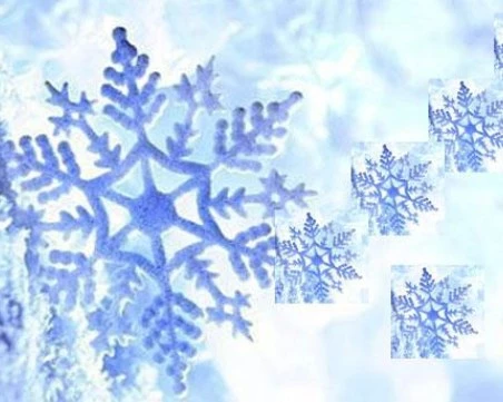 Имен ден празнуват хората с красиви снежни имена