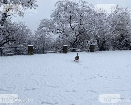 НИМХ: Има голяма вероятност за сняг на Нова година
