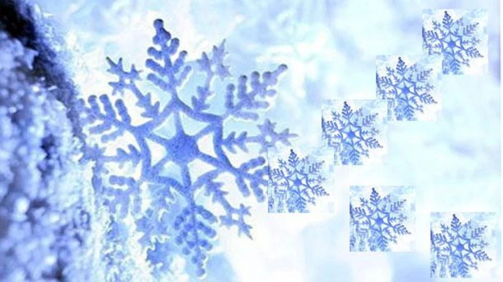 Имен ден празнуват хората с красиви снежни имена