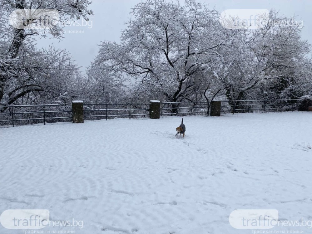 НИМХ: Има голяма вероятност за сняг на Нова година