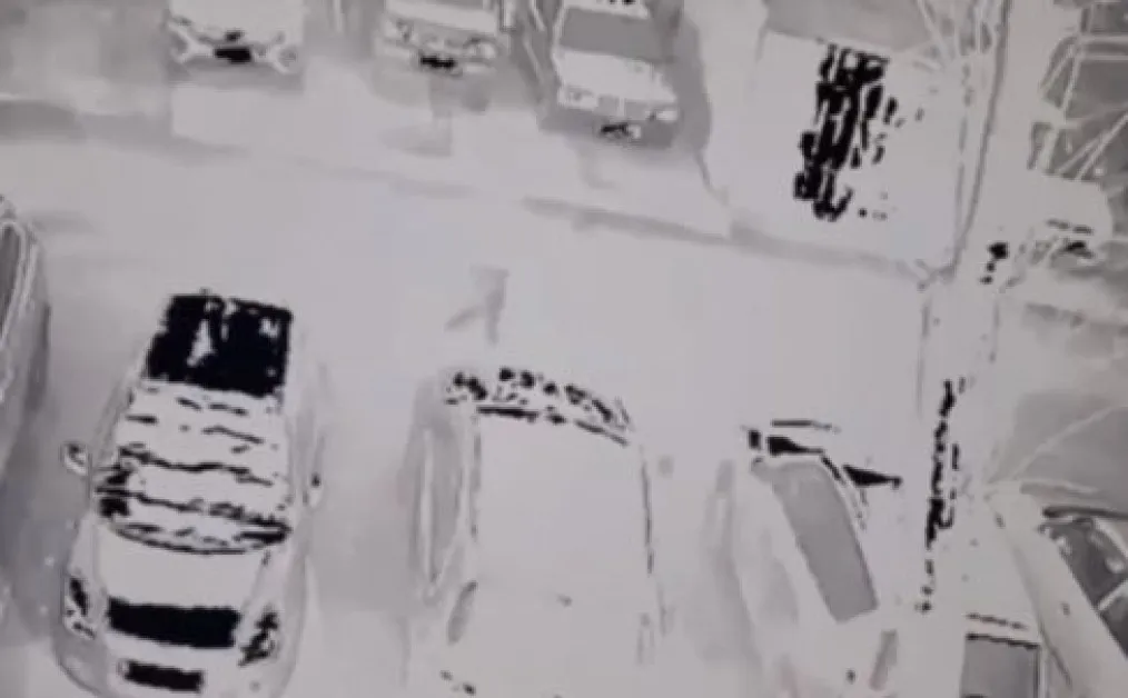 Психично болен нападна непозната жена в София, преби майка си и я прати в кома