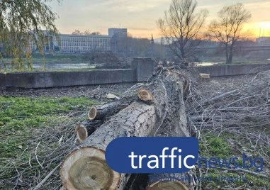 Топлите по северното крайбрежие на река Марица се премахват от