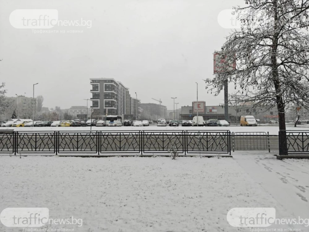 Климатологът Симеон Матев: До Коледа - кално, след това да очакваме сняг