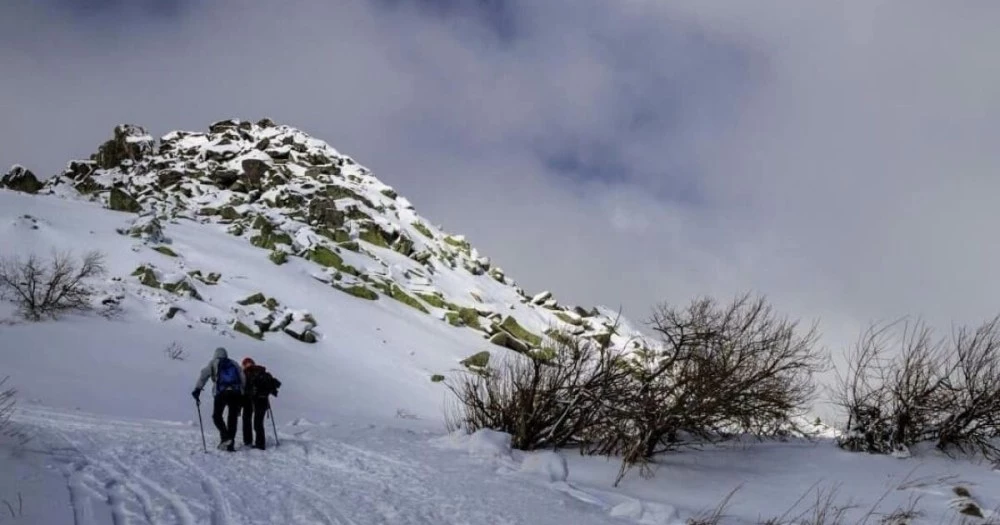 Откриха починал турист на Витоша при акция за спасяване на друг пострадал мъж