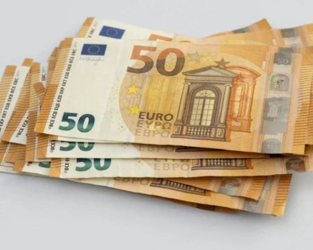 Конституционният съд образува дело за референдума за еврото