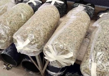 Под надзора на Окръжна прокуратура Благоевград бе проведена мащабна полицейска