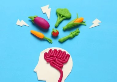 Периодичното гладуване води до динамични промени в човешкия мозък