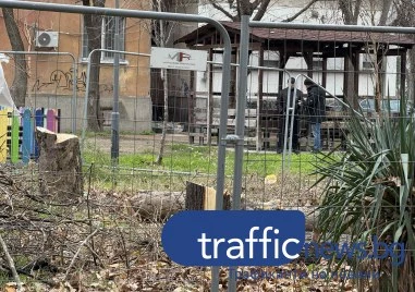 Сеч на дървета с изтекло разрешително в „бившата зелена площ на бул. „Марица, глобиха фирмата