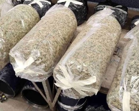 Иззеха над 10 кг марихуана при спецакция в Благоевградско