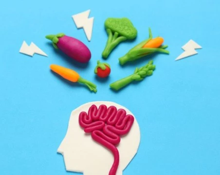 Периодичното гладуване води до динамични промени в човешкия мозък