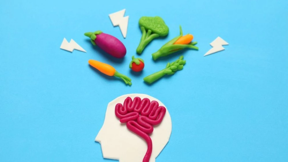 Периодичното гладуване води до динамични промени в човешкия мозък