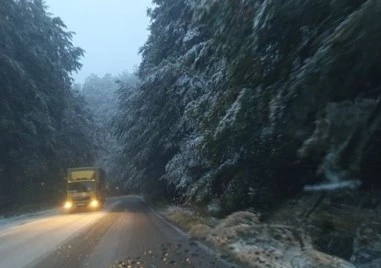 Сняг валя на прохода Петрохан